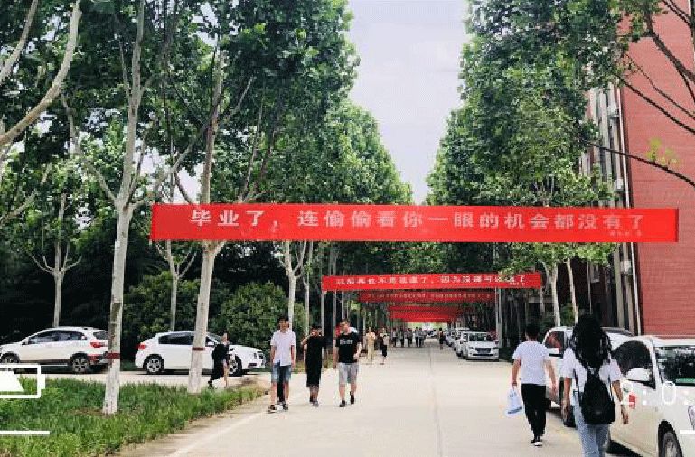 催人泪下的毕业横幅,本科毕业典礼横幅