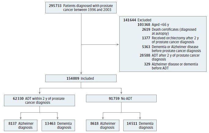 雄激素剥夺治疗痴呆风险,什么叫雄激素剥夺治疗