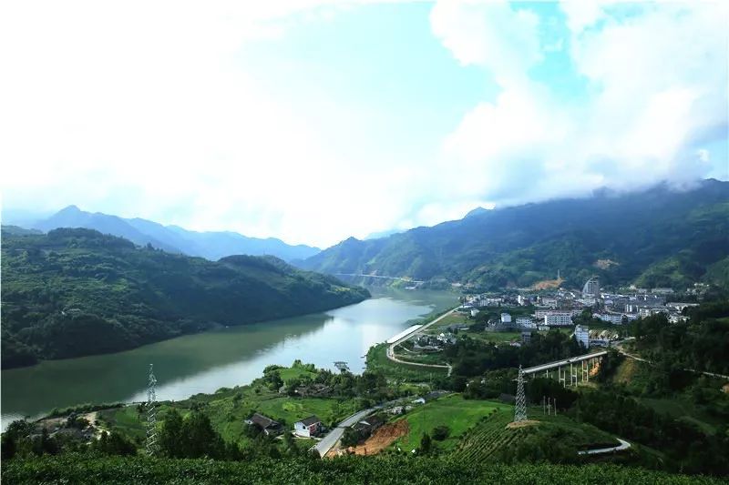 石泉|“鱼”生请多指教