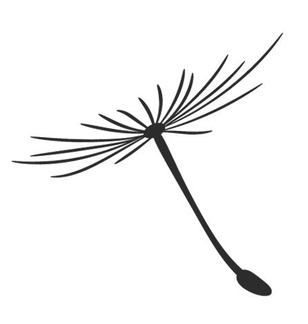 如何给孩子们讲新闻,给孩子讲新闻的课程