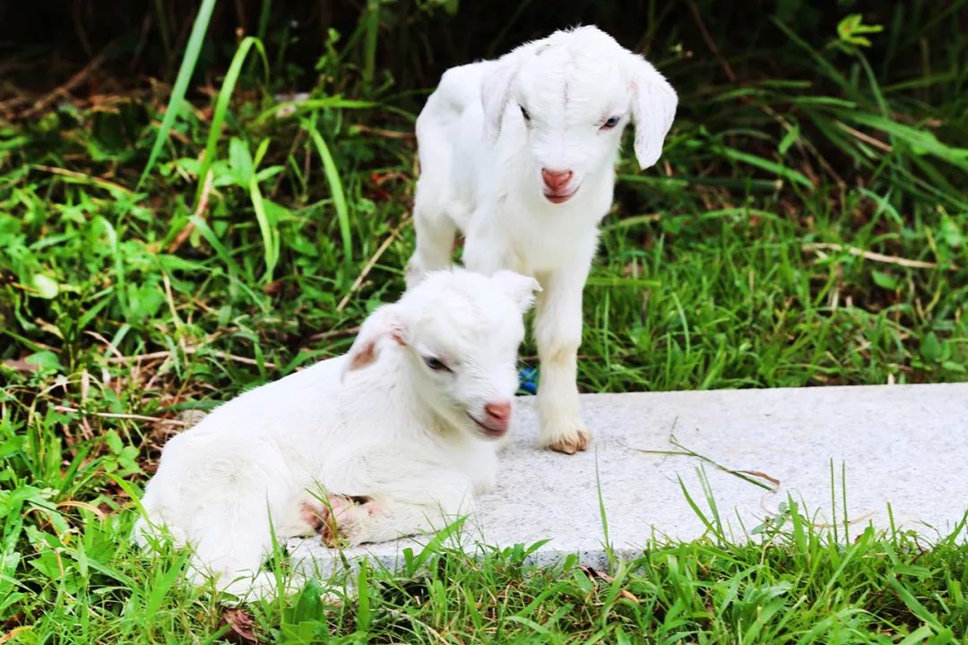 魔都最新网红地,魔都新晋打卡