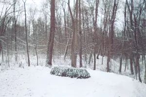 当你凝视世界世界也在凝视你,当你凝视美好时美好也在凝视你