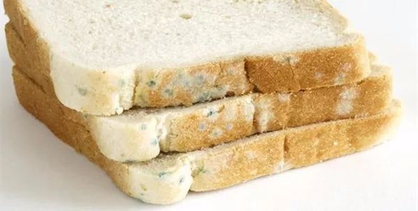 面包发霉吃了会怎么样,过期没发霉的面包还能吃吗