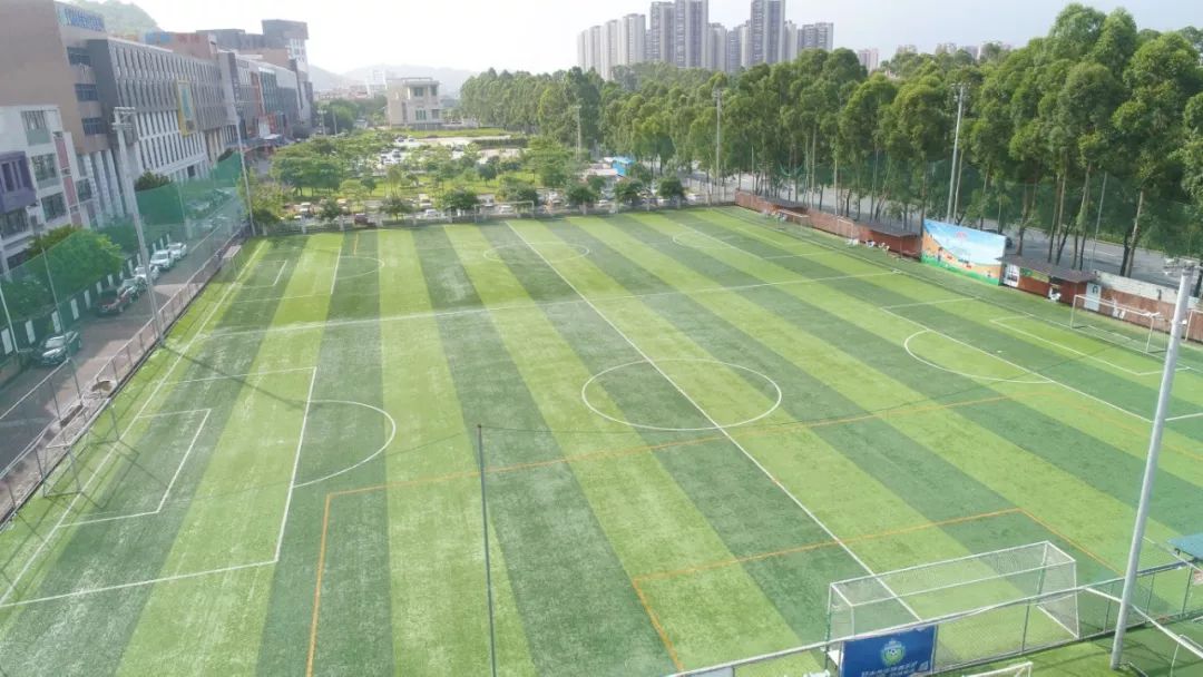 探寻国足阵容的辉煌历程,揭秘国足新主场