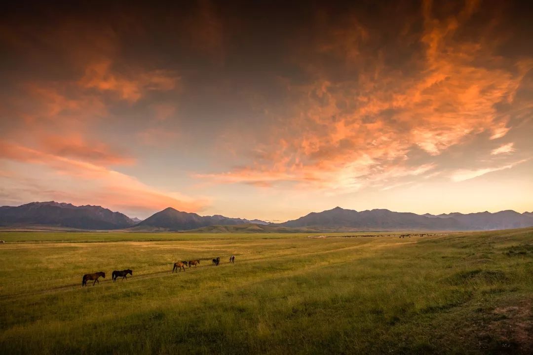 张掖的由来,什么是张掖