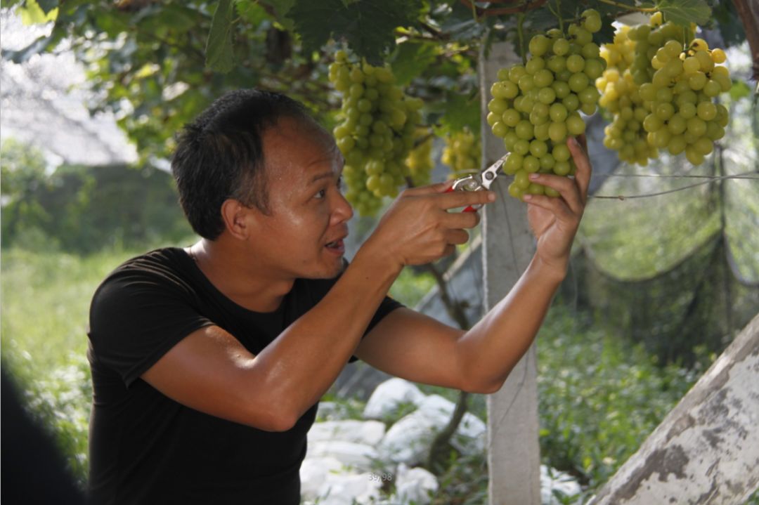 别拦我我要回家图片,别拦我我要回家