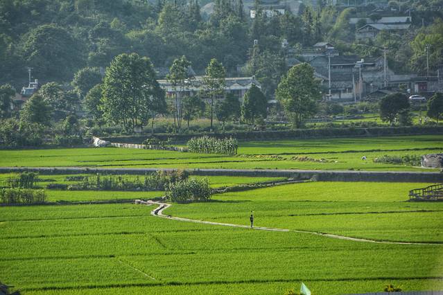 鑵惧啿鐑捣鏅尯鍏崄宀佸厤绁ㄥ悧,浜戝崡鑵惧啿鐑捣鍏洯鏅浠嬬粛