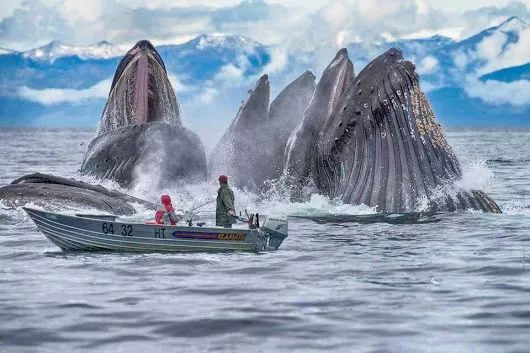 时差岛法国人,时差岛上