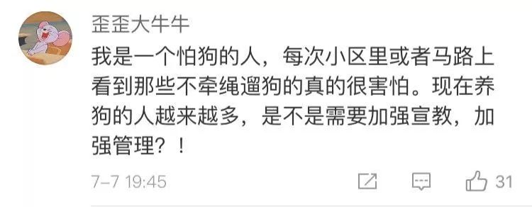 江苏女子给狗狗喂食物被咬,江苏女子被咬狗狗后续