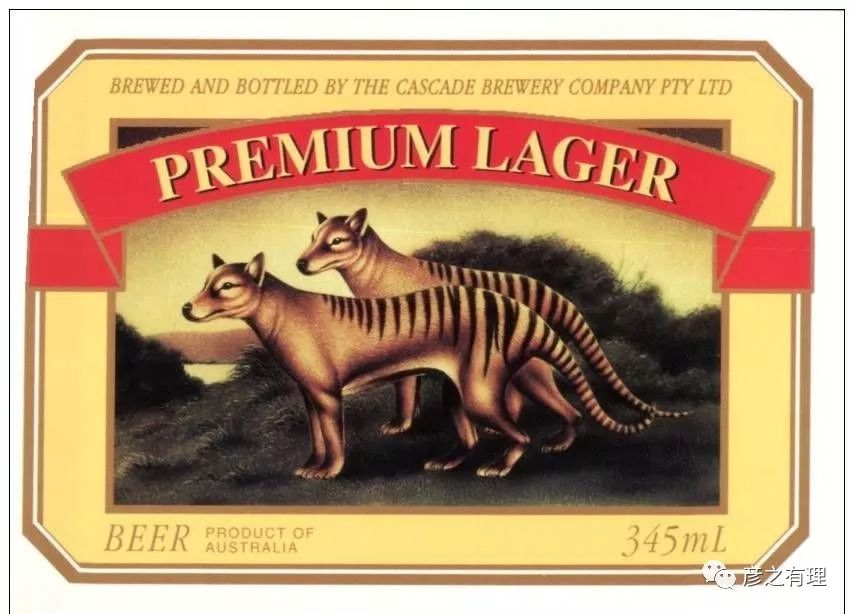 澳洲考拉奶粉好吗,澳洲龙虾奶粉