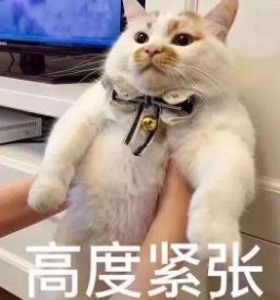 期末考试成绩出小孩崩溃瞬间,小学生期末考试崩溃瞬间