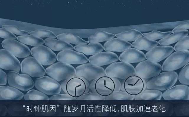 平价精华测评真实推荐,28天精华真实测评