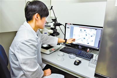 运用绿色荧光蛋白标记技术鲭鳉鱼和斑马鱼胚胎遇毒发光