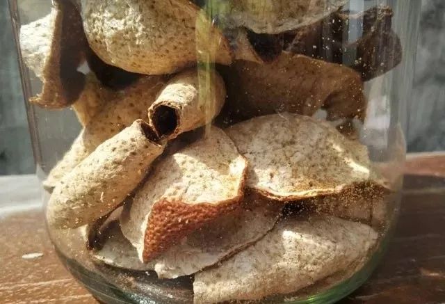 虫蛀的陈皮还能吃吗,陈皮虫蛀了怎么办