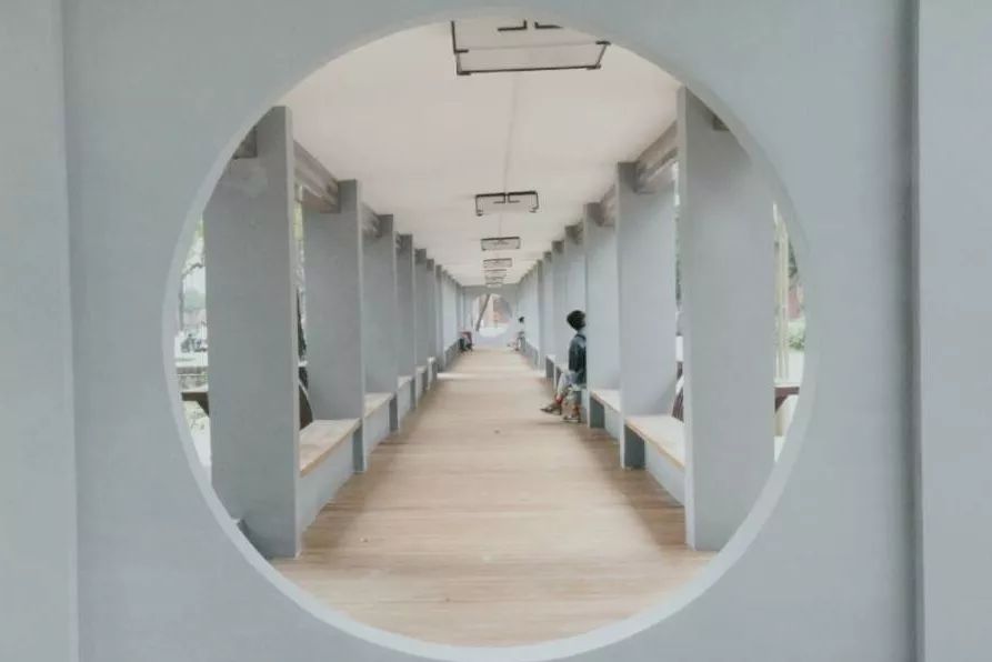 仙气荷池、时光走廊、滨湖绿道……川大持续惊艳焕颜！同学：这是仙境吗？