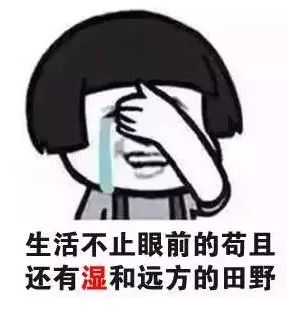 暴雨红色预警!河南接下来的半个月几乎全是雨!还有一个消息...