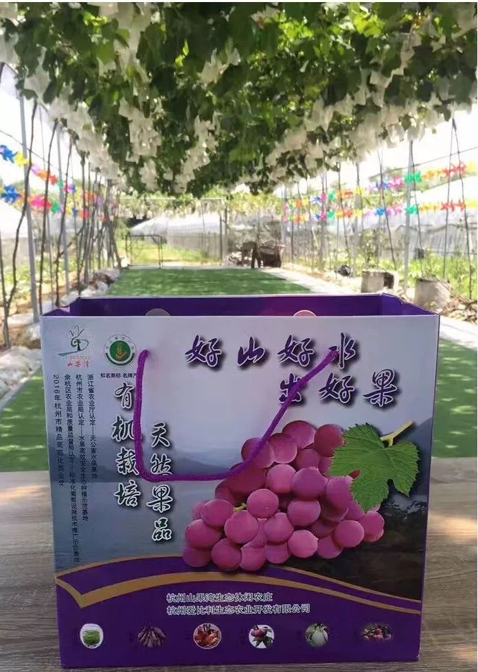 连阿里巴巴都点名！拿奖拿到手软的“葡萄王”来了~入园采摘，尽享千元农家菜