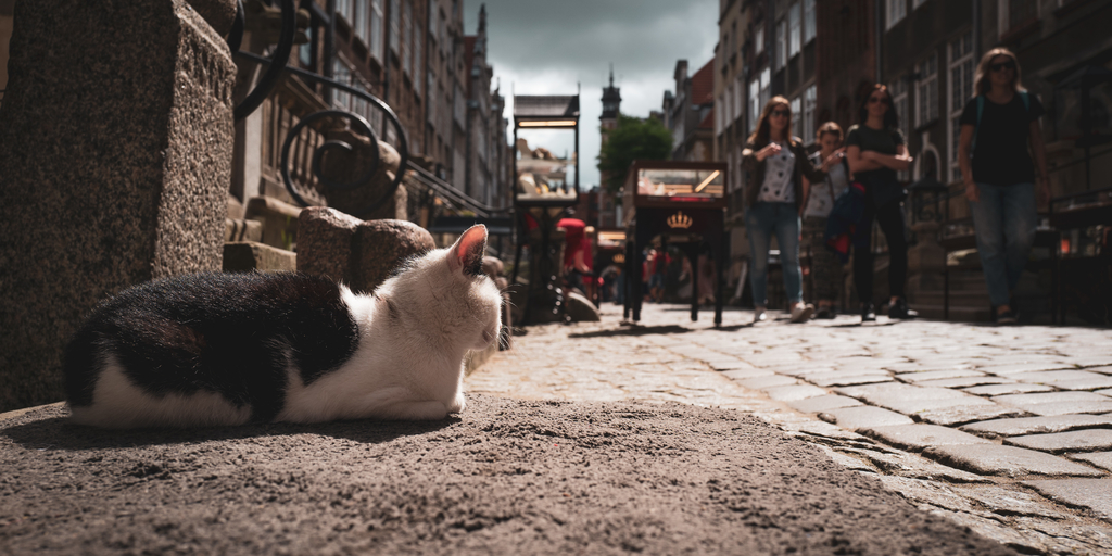 波兰比托姆港口,波兰港口格但斯克冬季封冻期