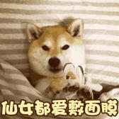 长发女神秒变短发,长发小萝莉变身