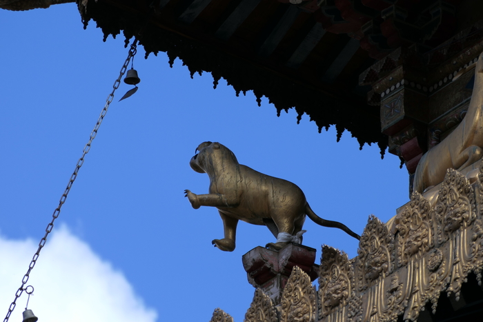 松下fz1000和fz2500,松下fz1000价格