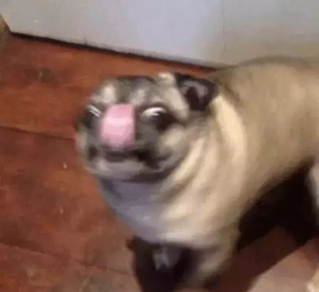 那些已经消失的经典品牌,有哪些品牌曾经很火但现在消失的