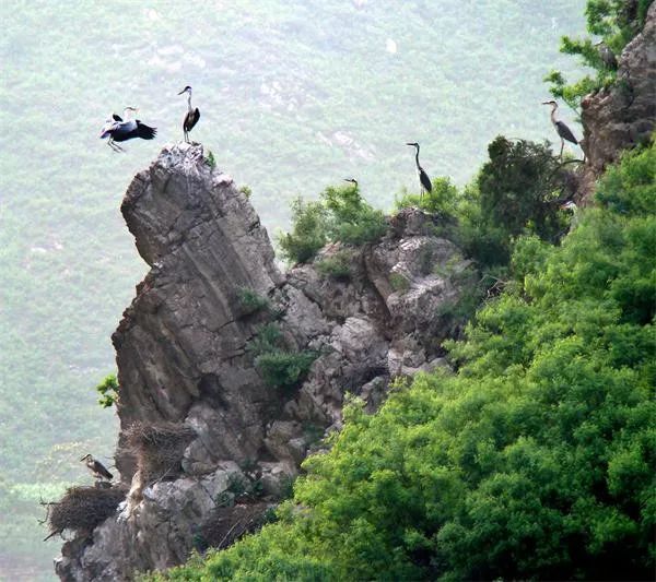 中国那些美丽到醉人的乡村,乡村旅游有哪些特色村庄