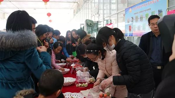 中国那些美丽到醉人的乡村,乡村旅游有哪些特色村庄