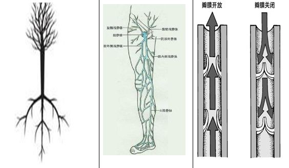 筋疙瘩怎么去除,筋疙瘩好治吗