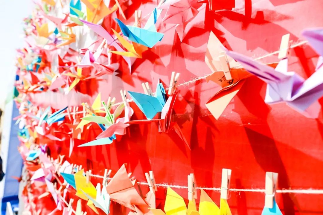 2023衡水湖马拉松是a1赛事吗,2022年衡水湖国际马拉松比赛日期