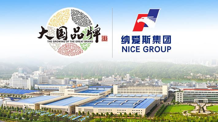 纳爱斯的含义是什么,纳爱斯的劣势