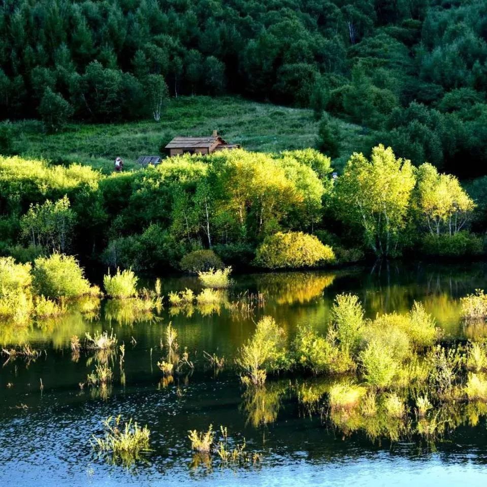 童话草原大套票,童话草原景区门票儿童购票标准
