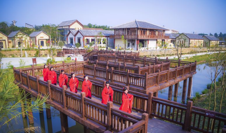 北海南珠节旅游攻略,南珠节北海