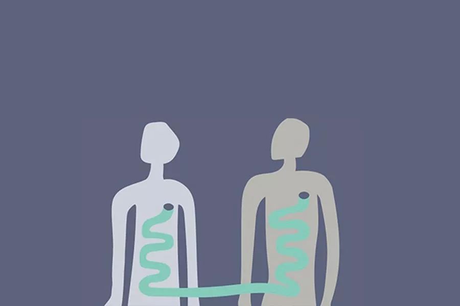 改变胖子的肠道菌群的益生菌,把胖人的肠道菌群移植给瘦人