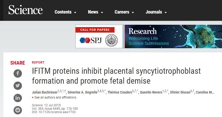 聚焦高危妊娠！Science揭示干扰素是促进胎儿死亡的“凶手”