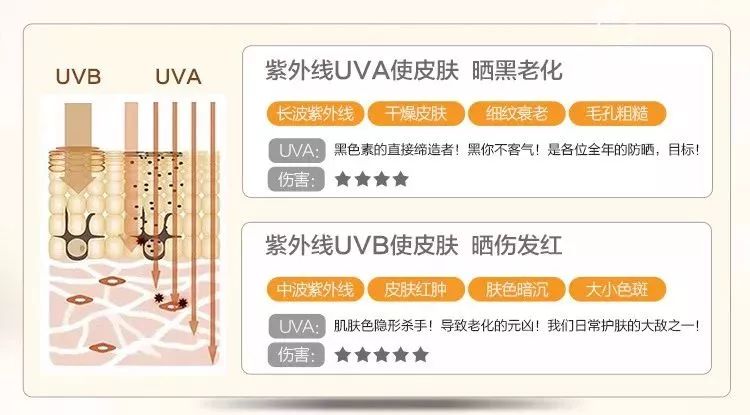 爆款直降资生堂防晒霜到手价159元,安耐晒防晒特价