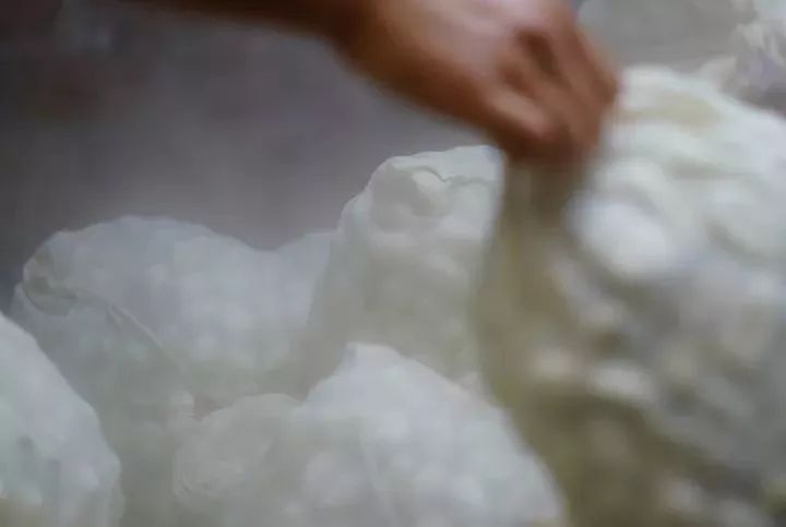 蚕丝被相关报道,桑蚕丝被曝光