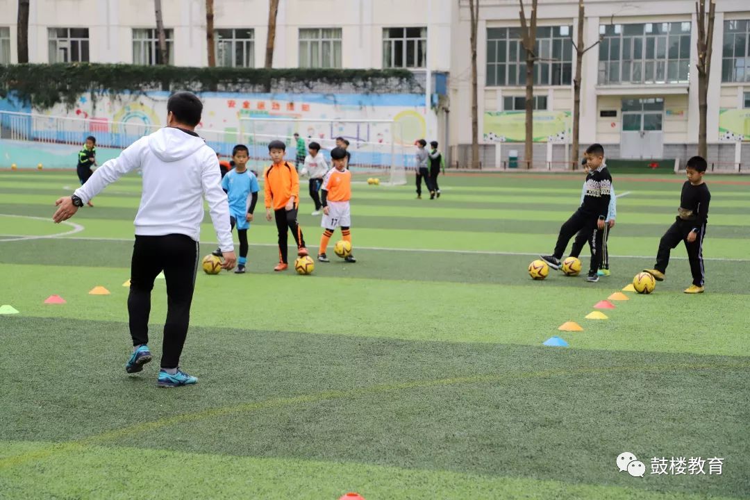 牛娃获奖视频,牛娃游泳冠军