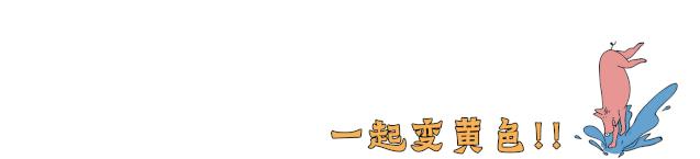 为什么叫杰尼龟,为什么杰尼龟被孤立