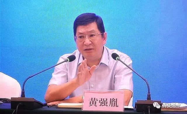 浠水县委书记黄强胤,浠水书记黄强