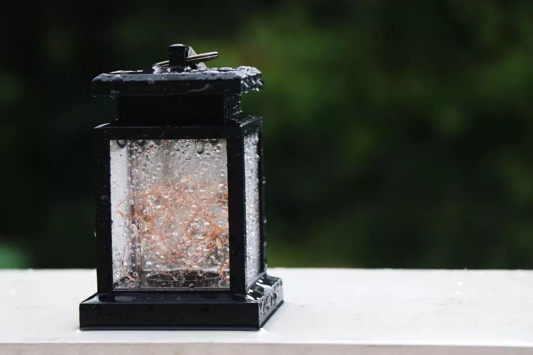 民宿一隅小院,民宿依山傍水清幽静谧