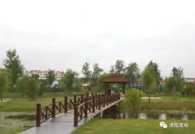 跟着书记县长去观摩，看沭阳七月“美景”红似火！