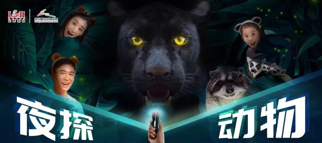 娴锋磱鍔ㄧ墿閬挎殤绂忓埄,鍔ㄧ墿閬挎殤楂樻俯绂忓埄