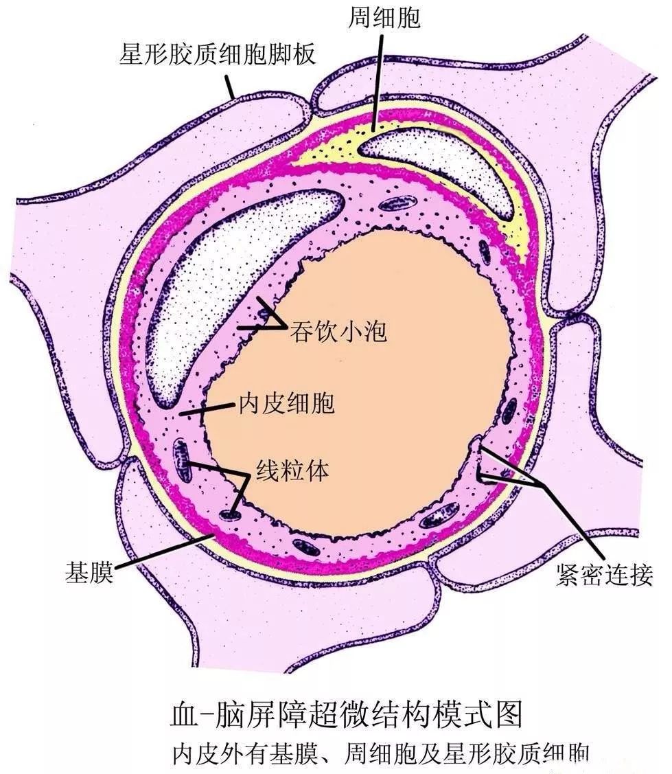 认清“打K”产生的幻觉，你可能是吸毒者里最清醒的人