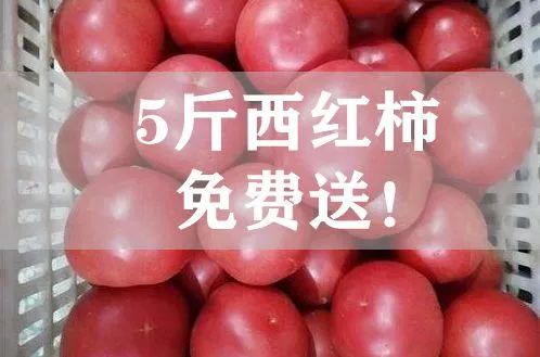 韩国商品交易中心有什么值得买,青岛韩国商品交易中心