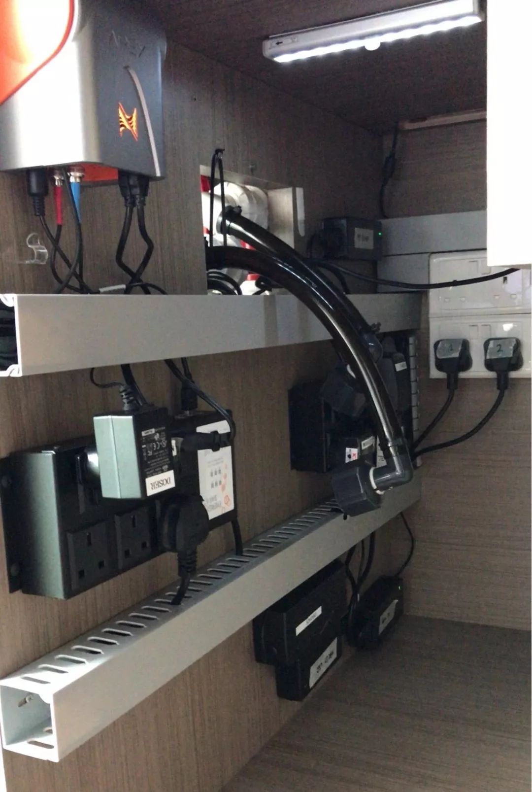 新开缸每天都有鱼死,新开缸鱼一直死