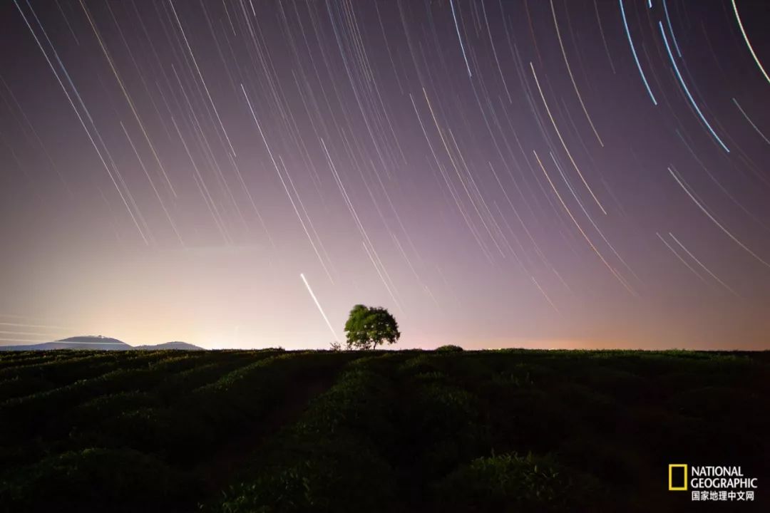 南京紫金山灵谷寺萤火虫,南京灵谷寺哪里可以看到萤火虫