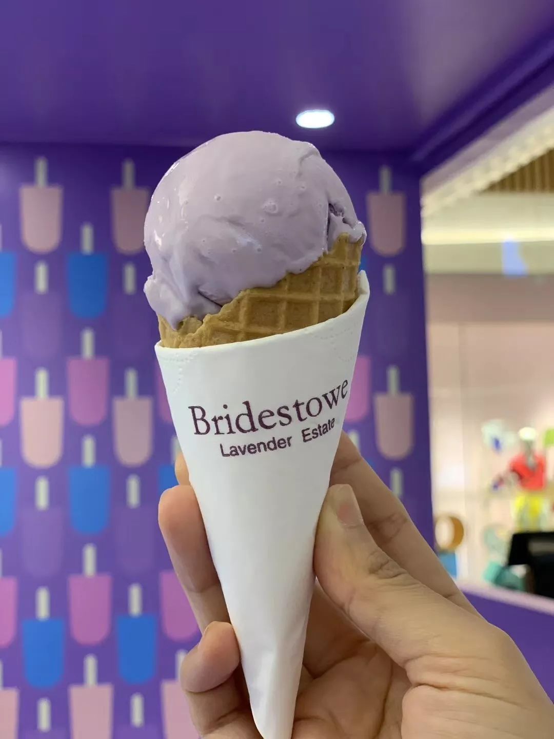 这家商场变酱紫了？风靡全球的薰衣草小熊来袭，带来高颜值打卡空间