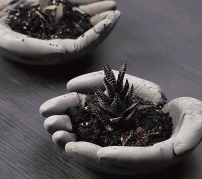 两块钱的水泥做出50元的效果,水泥全是绿色可以做什么