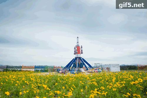 惊艳！花仙子这片向日葵花海盛情绽放！你去看了吗？