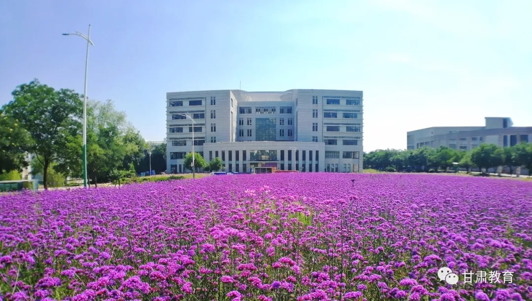 没录取征集志愿有什么用,二本尚未录取能填一本征集志愿吗